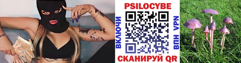 Псилоцибиновые грибы Cubensis  Асино 